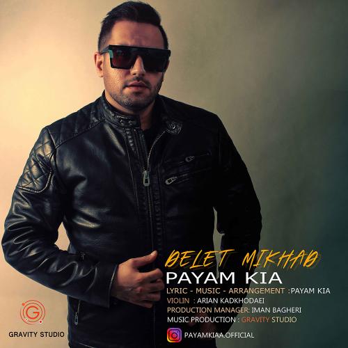 دانلود آهنگ دلت میخواد پیام کیا